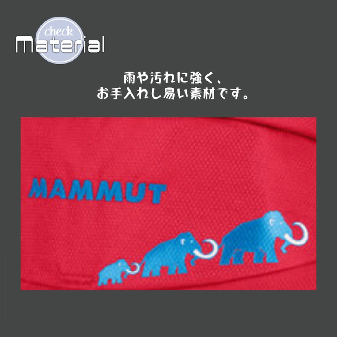 マムート ファーストトリオン 18L ジュニアバック 国内正規品